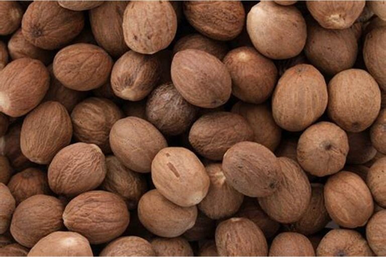 أضرار جوزة الطيب للحامل 6 أضرار جوزة الطيب للحامل