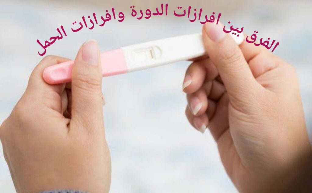 AddText ٠٥ ٢٨ ٠٧.٢٢.١٧ 1 1024x634 1