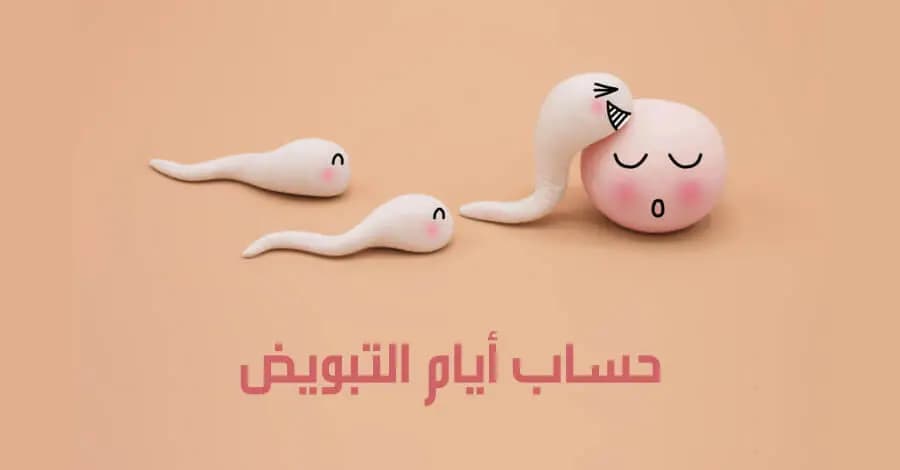 أعراض التبويض القوي وما هي طريقة معرفة أيام التبويض 2 أعراض التبويض القوي وما هي طريقة معرفة أيام التبويض