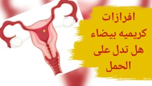 افرازات كريمية بيضاء هل تدل على الحمل وما هي الافرازات المرضية