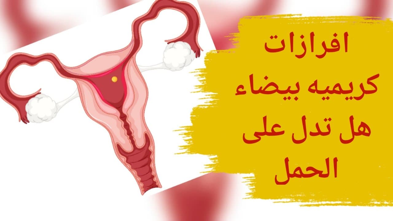 افرازات كريمية بيضاء هل تدل على الحمل وما هي الافرازات المرضية 1 افرازات كريمية بيضاء هل تدل على الحمل وما هي الافرازات المرضية