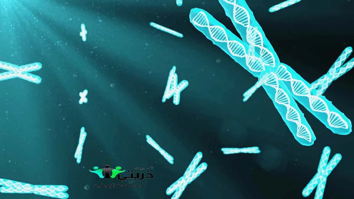 كيفية قراءة تحليل dna fragmentation تكسير المادة الوراثية في الحيوان المنوي 1 كيفية قراءة تحليل dna fragmentation