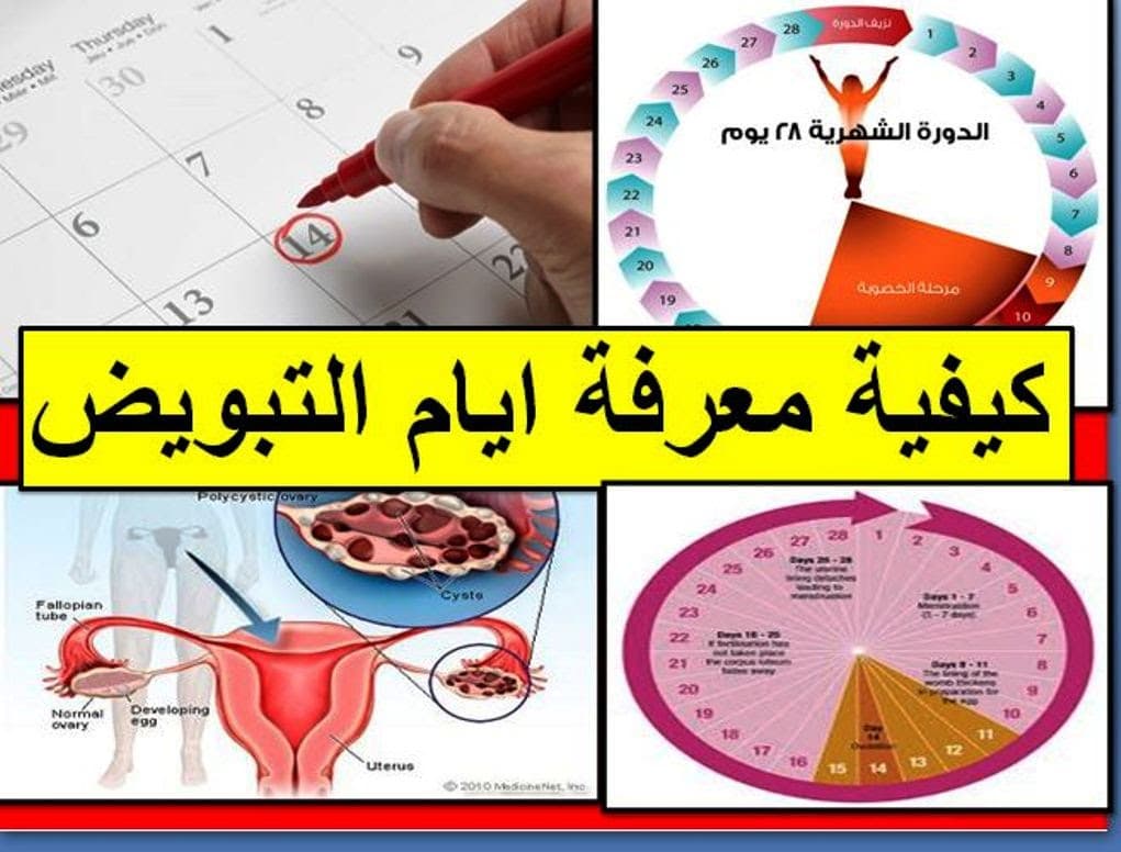 أعراض التبويض القوي وما هي طريقة معرفة أيام التبويض 1 أعراض التبويض القوي وما هي طريقة معرفة أيام التبويض