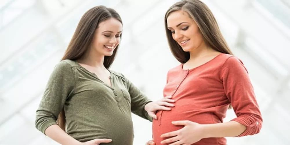 تجربتي مع الحقن المجهري للحمل بتوأم ذكور 1 الحقن المجهري للحمل بتوأم ذكور ونسب النجاح
