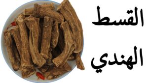 تجربة زوجي مع القسط الهندي لعلاج مشاكل الخصوبة