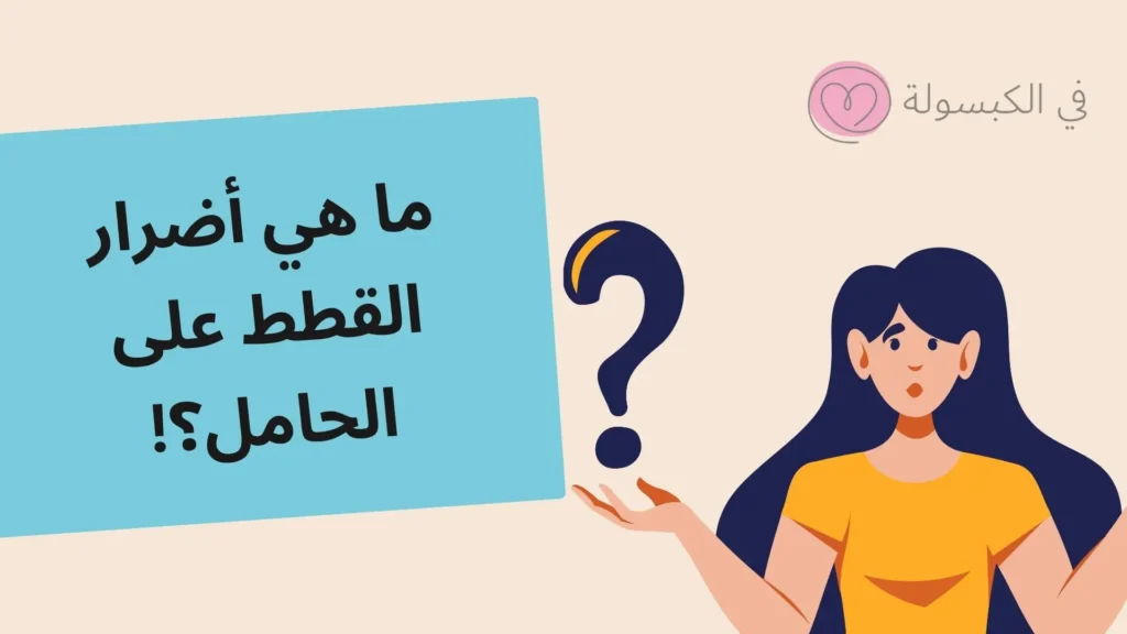 فيروس القطط عند الحامل 2025: المخاطر والعلاج 3 أضرار القطط على الحامل